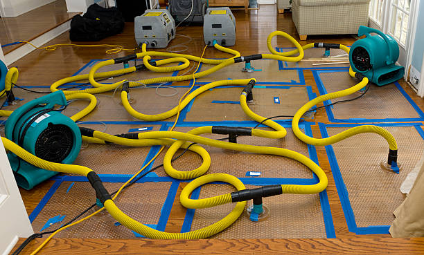 Professional Sewage Cleanup technician working in Long Valley, NJ